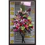 CBF-008